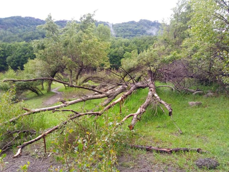 Atico En Pleno Pirineo Lägenhet El Pueyo de Jaca Exteriör bild