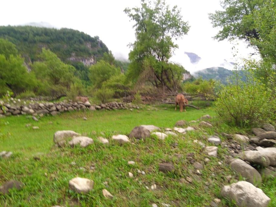 Atico En Pleno Pirineo Lägenhet El Pueyo de Jaca Exteriör bild